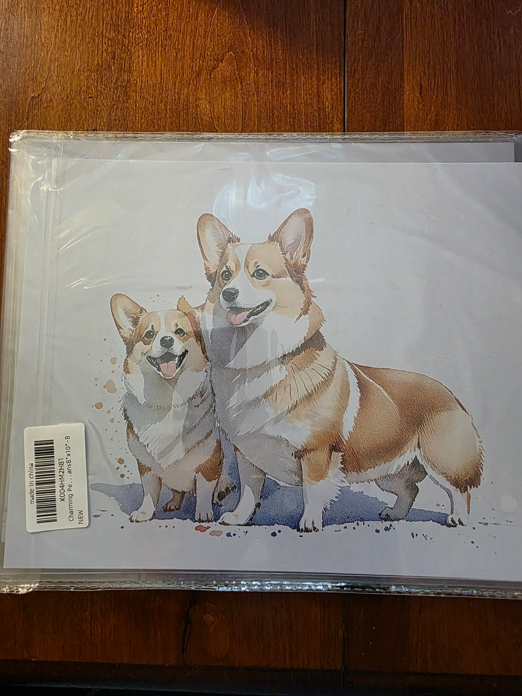 Charming Animal Art Print Set