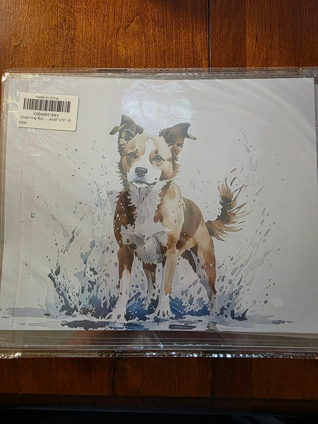Charming Animal Art Print Set