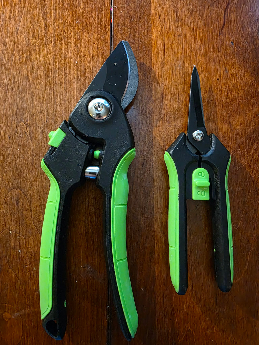 The CraftZone Essential Pruning Duo