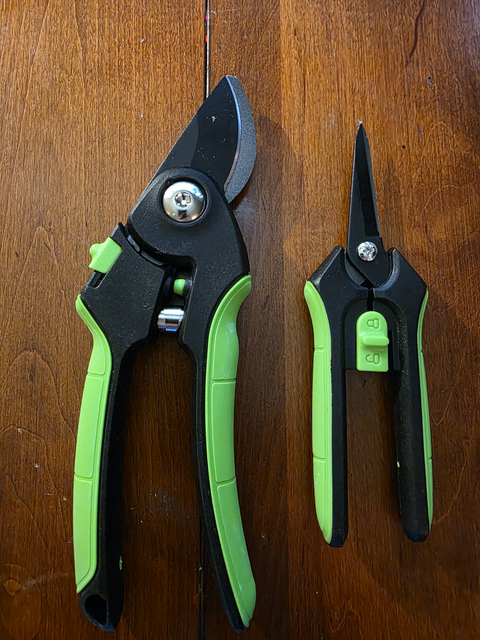 The CraftZone Essential Pruning Duo