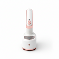 Portable Mini Folding Electric Iron – 2-in-1 Flat Iron & Vertical Steamer