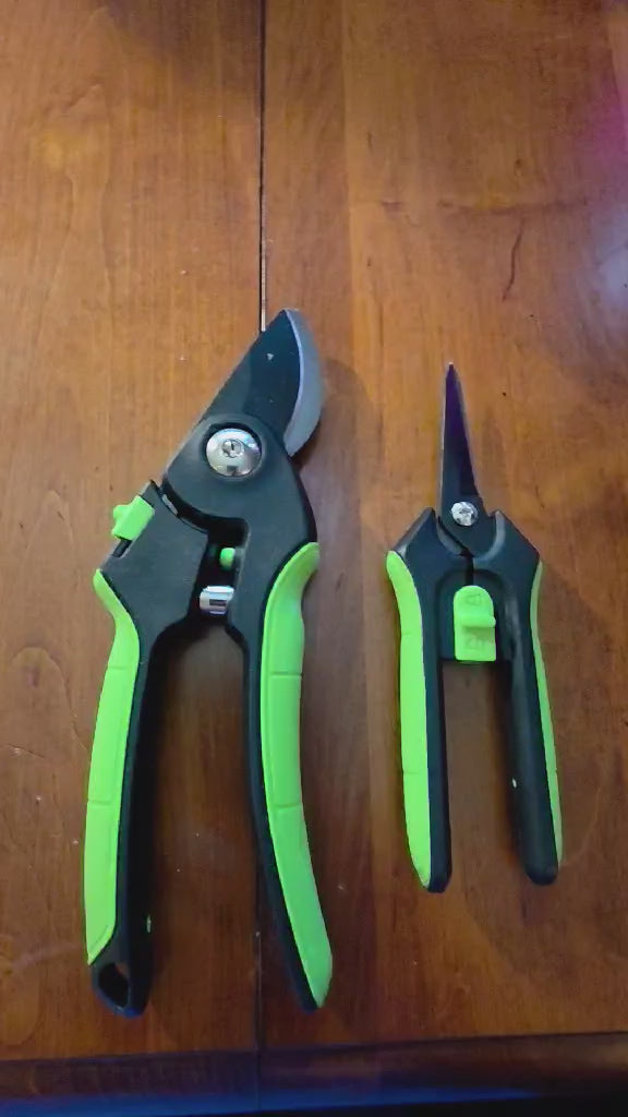 The CraftZone Essential Pruning Duo